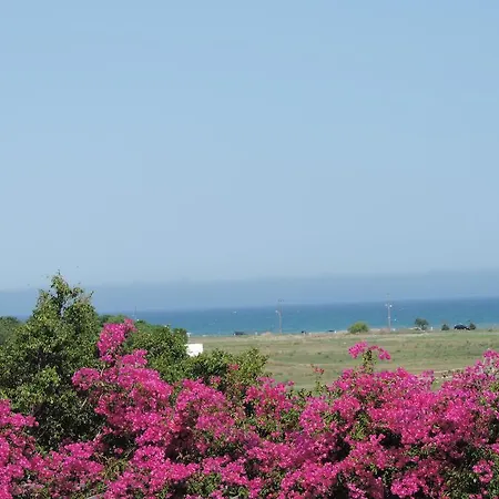 In Cyprus Larnaca * Voroklini