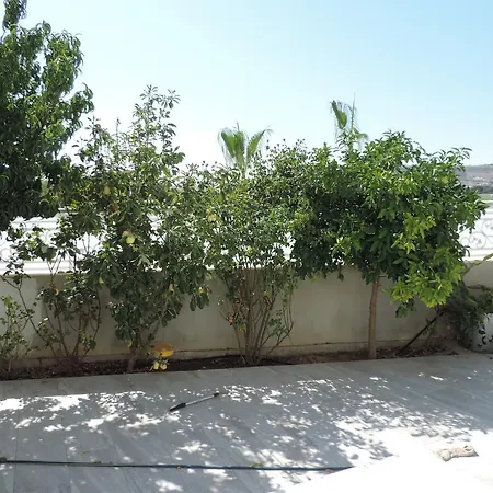 Villa In Cyprus Larnaca Voroklini