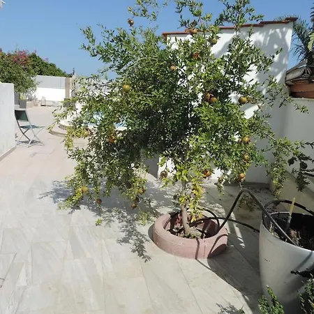 Villa In Cyprus Larnaca *
